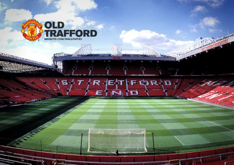 中表现出色 中表现出色